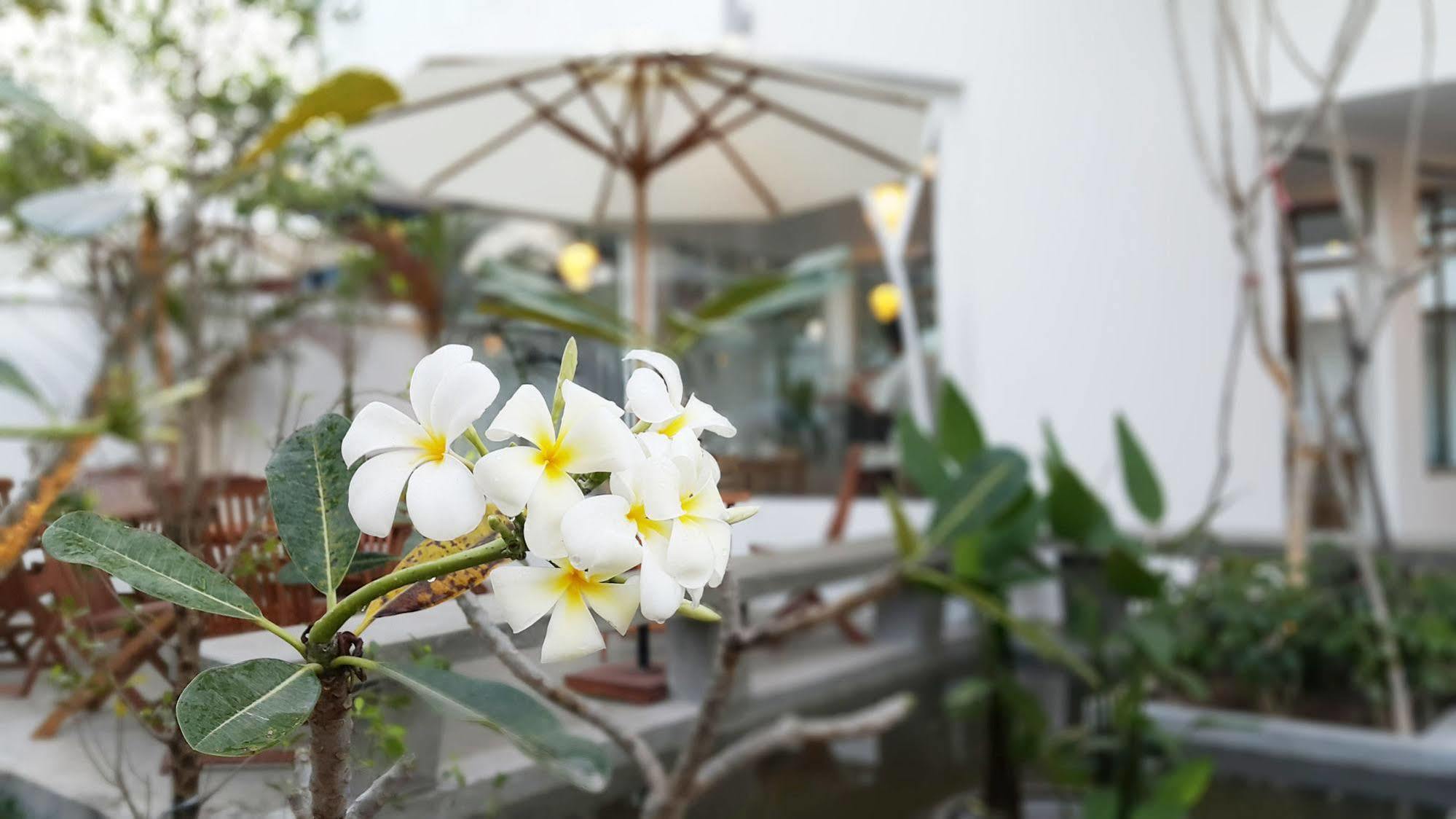 Chez Moi Suite & Spa سيام ريب المظهر الخارجي الصورة